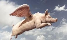 当狂风肆虐, 语句也随之翻腾：让我们探索一下那些充满喧嚣和气势的风大句子