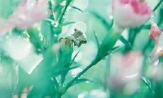 充满童真与欢乐的幼儿们：描述孩童天真欢乐的表达方式