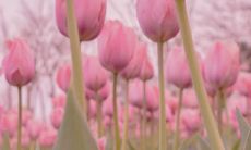 探究2021年最流行的个性化社交媒体句子：最新朋友圈、微博、Instagram个人签名等