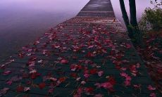 错过这些将会让你后悔不已的话语，绝不能错过！