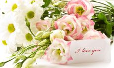 如何用送花卡片的简短表白内容表达深情？