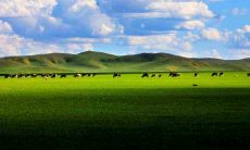 给家人和朋友发暑假问候短信，表达思念之情，缓解心理压力和孤寂感