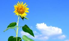 36句适用于高考延迟考试后的朋友圈发文推荐，让你更好地表达自己的心情与态度