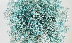 分享：我在生死关头获得的启示，深刻感悟重新出发的人生——一篇劫后重生的朋友圈心得