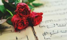 每日赠送一句典雅精美的句子，让你的语言更典雅华美