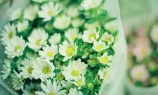 汇总了多款唯美走心的文案句子，适合用来表达心情的经典好句，让你的文字飞扬起来