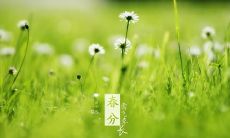 汇总春分节气祝福短信集锦，分享精彩问候语句，让你用最温馨的话语送给身边的亲朋好友！