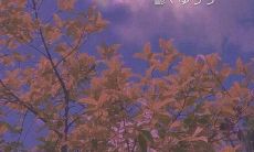 让你的女朋友感到快乐和满足的心灵愿语和表达方式