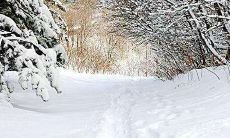 冬日景色如画：写一篇关于美丽的雪景的短文案