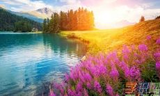 真正的爱是关注你的幸福与快乐，不断努力为你创造美好的生活和经历的综合句子