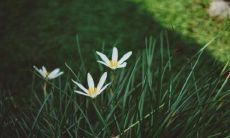 用最甜美、最暖心的短句情话抓住男人的心：一份教你如何表达真爱的完美清单