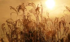 分享那些让人感到对兄弟失望的话语和情绪的句子