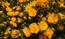 如何以更长的标题吸引读者注意？