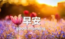 分享给好友的12月早安语，让你的朋友圈更温暖更美好