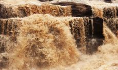 用语言描绘黄河的壮美景致: 生命之河——荡气回肠的黄河，令人心驰神往的原野奇观