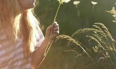 一个悲伤且令人难以承受的句子，形容对生命中的种种挫折和失望的沉重感受