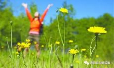 寻找春天，在万物复苏的季节步入大自然：绿草如茵、百花齐放，闻着芳香、听着小鸟歌唱，走进世外桃源、享受踏青的情趣