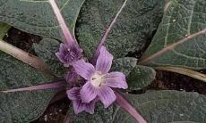 后悔于冲动之下说出的话语与行为的表达方式