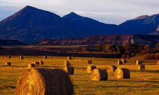 那些让我受益匪浅的句子，我从中找到了无尽的收益和灵感！