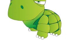 如果你的飞翔梦想破灭了，不妨考虑奔跑的美妙之旅