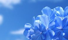 如何用甜言蜜语哄媳妇开心：老婆生气了，不妨试试这些温馨情话！