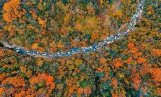 在田野间尽情奔跑、河边畅游，享受大自然之美，孩子们心怀喜悦、乐享田园生活的故事