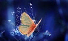 关于问候的短信，如何在快节奏的生活中表达温暖和关心之情？