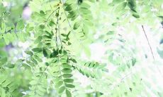 60句设计师人生格言座右铭，让你的创意飞扬之路越走越远！