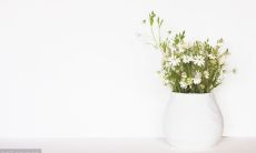 拥有青春活力的最美青年们的座右铭和人生信条是什么？