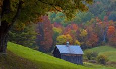 50字标题：享受简单快乐的心情，让幸福充满每一天--50个简单开心的句子