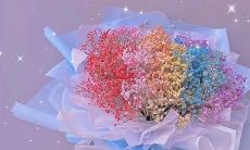 应如何精心设计朋友圈高端恩爱文案，让浪漫与文艺在朋友圈上流淌？