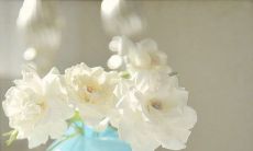 外表欢笑背后藏泪，散发内心悲伤的句子