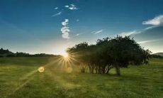 说给自己听的早晨心灵鼓舞语句，激发积极劲头的励志句子