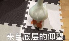 2021年最新现实打击语录，让你清醒认知当下的残酷现实！