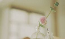 哪些生动形象的比喻句可以表达出快乐和开心的情感呢？