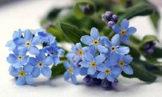 任意自由生活的句子，让心灵自在享受