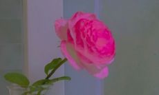 通过不懈的坚持与努力获得成功的启示：激励自己的坚持名言集锦