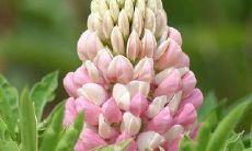 分享一些令人感动的亲情短句子，让你的内心温暖不已的心情短语