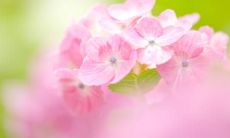 令人陶醉的美妙自动回复句子，让您的收件人沉浸在幸福中的完美方式