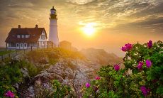 一大波温馨的甜蜜爱情句子，让你沉浸在幸福的海洋中！