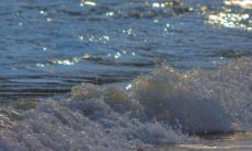 当无法用言语表达的委屈痛苦沉淀成无言的苦痛：探究句子的心理价值