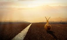 在生命历程中，蕴涵着对进步的人生感悟所组成的一系列句子