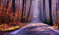 汇集繁华消逝的美丽句子，用以表达沉淀与感悟的集锦