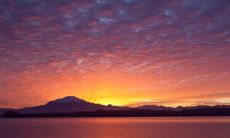 50句经典求婚女友的浪漫句子推荐，让你的爱情宣言更加动人心弦！