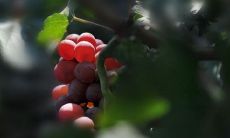 如何选择能带给自己幸福、快乐和满足感的心灵疗愈语句？