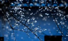 梦境中淋雨的失落画面与难以言说的情感表达