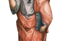 一份含有所有柏拉图经典名言的详尽指南