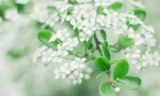 当爱情逝去，留下的伤痛与不开心之情