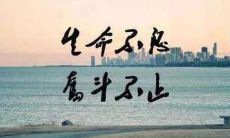 静下心来，用尽全力，投身于奋斗之路，为了追寻梦想而坚定不移：励志句子分享