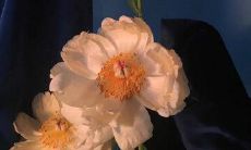 一起来看看2022年令人心痛与难过的句子，让我们一同面对内心的悲伤与挑战！